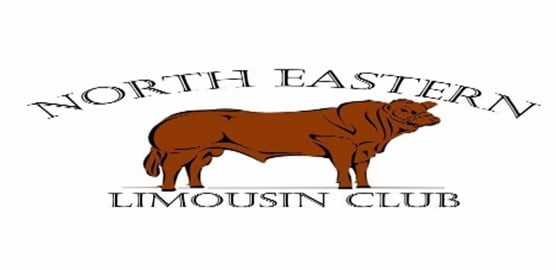North Eastern Limousin Club – Herds Competition 2021