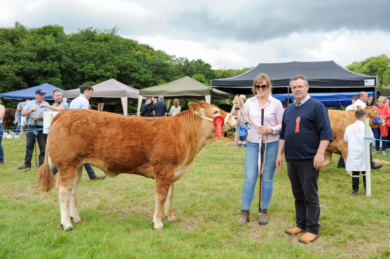 Dunmanway Show Champion Haven Vicki