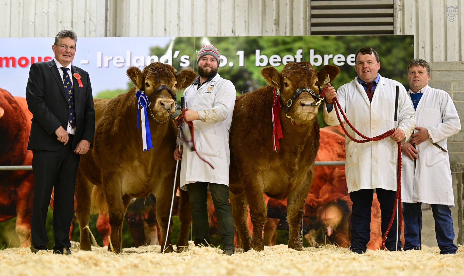 Champions day in Roscrea