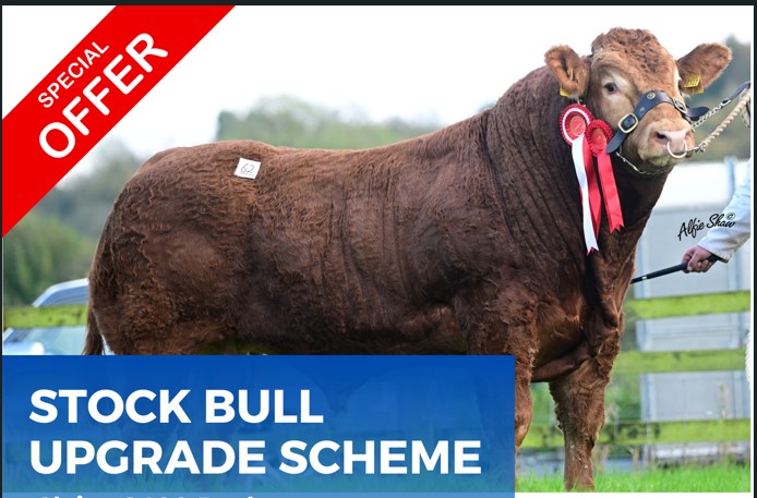 Four hundred euro Bull Upgrade Scheme