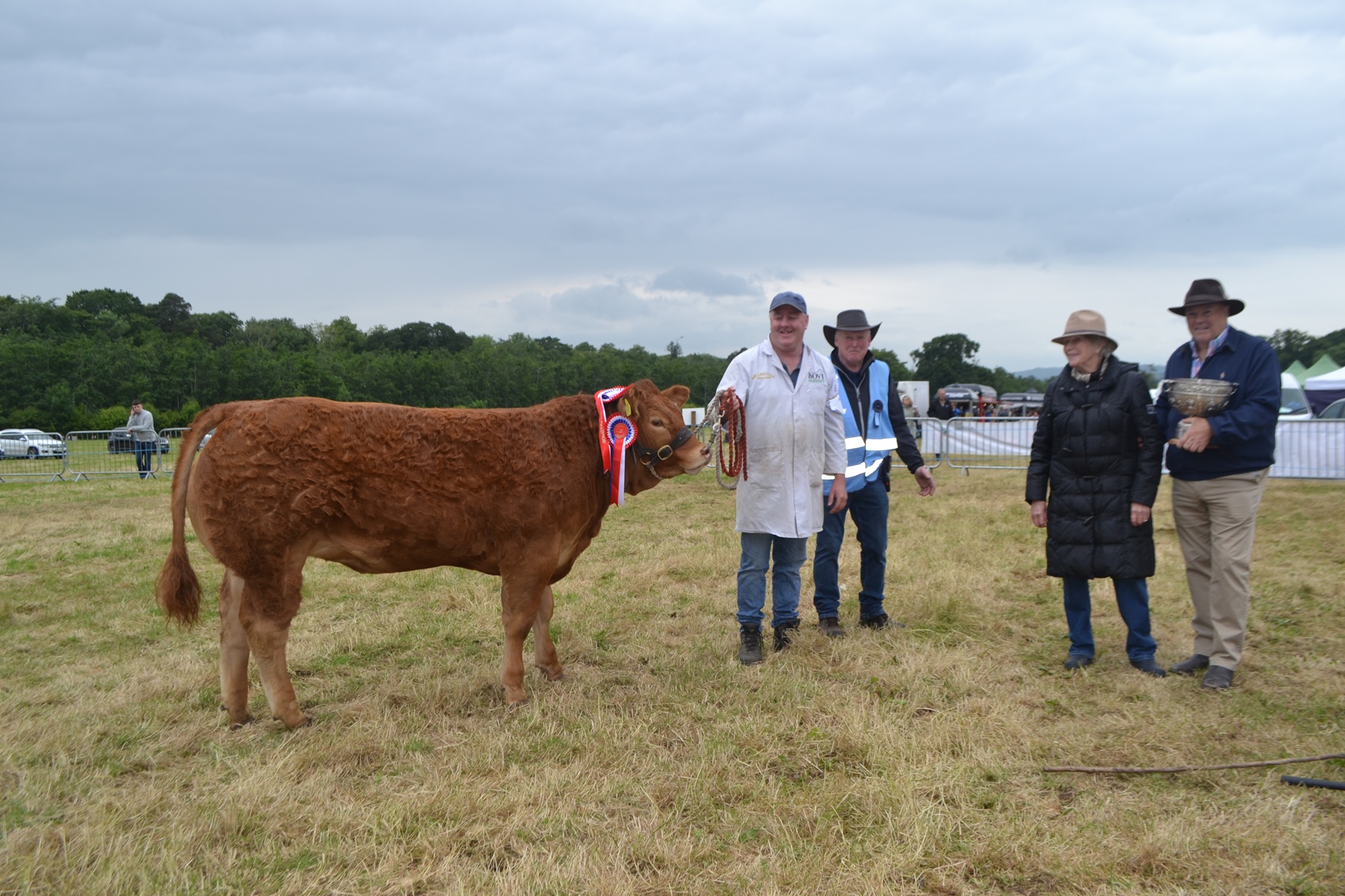 Milbrook Veryspicey takes the Championship at Dundalk show 2025