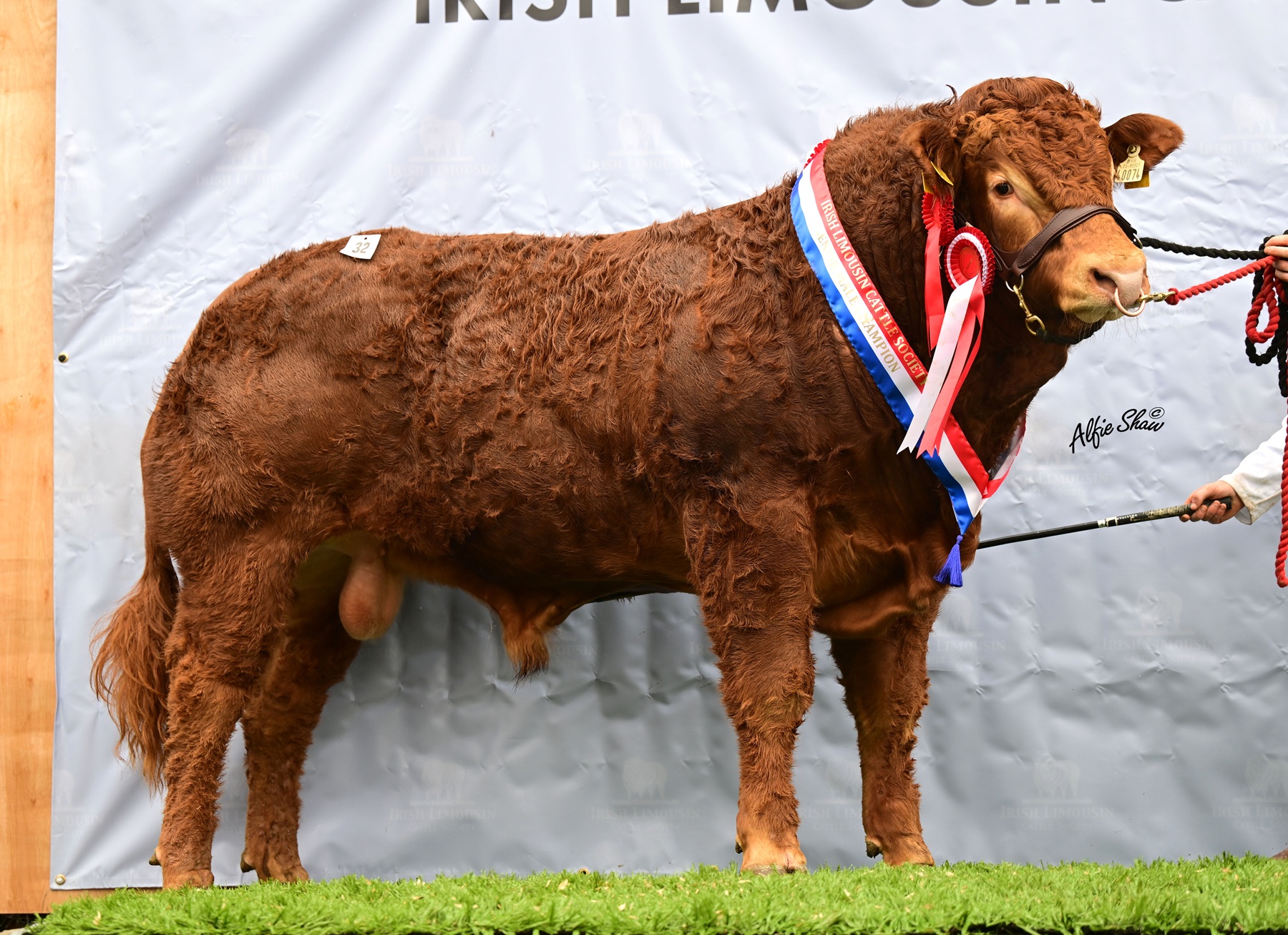 Lot 32 Ravanny Vertigo