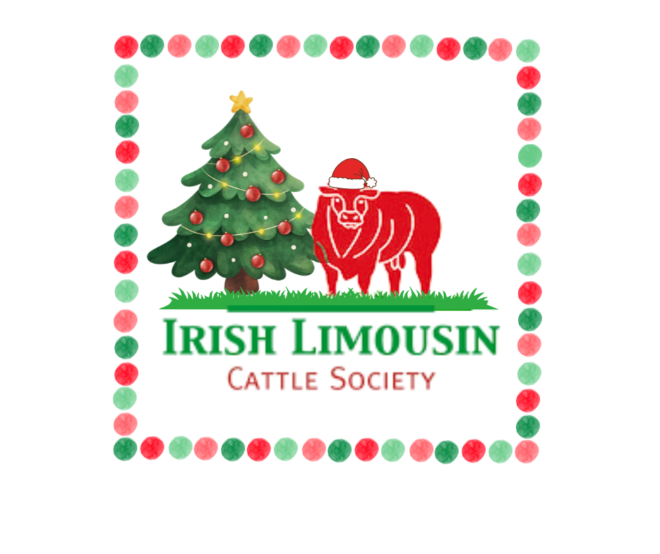 🎄 Season’s Greetings to all Limousin Breeders! 🐂