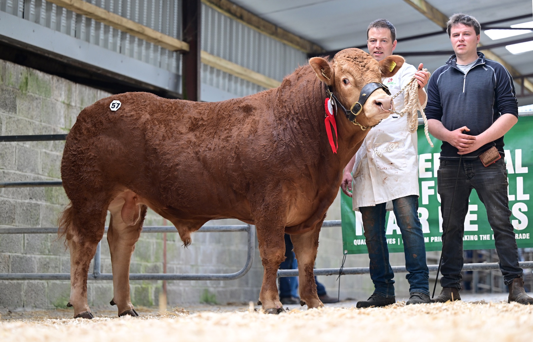 Nationwide Demand Drives 98% Clearance as Creenagh Alfred Tops final spring sale at €10,200