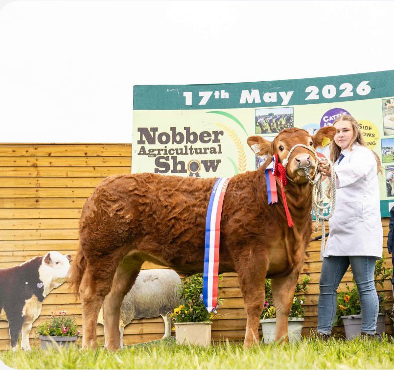 Nobber show 2026