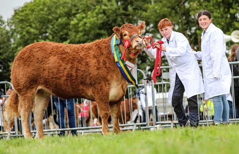 South East Clare show 2026