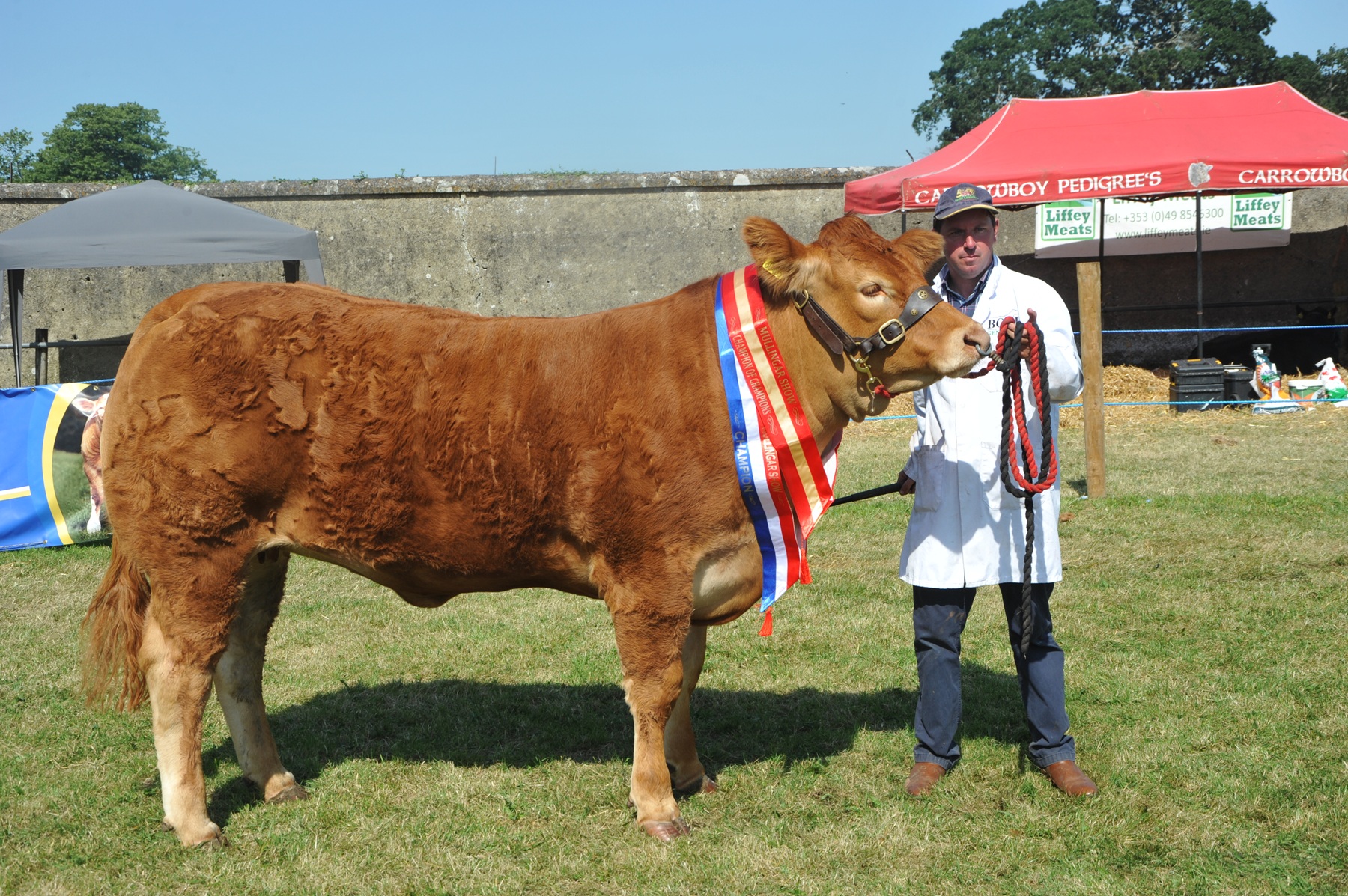 Mullingar show 2026