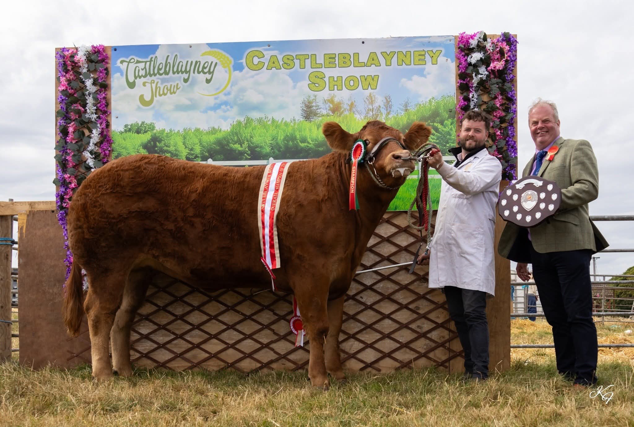 Champion Castleblaney show 2026 Clontown Vkiwi