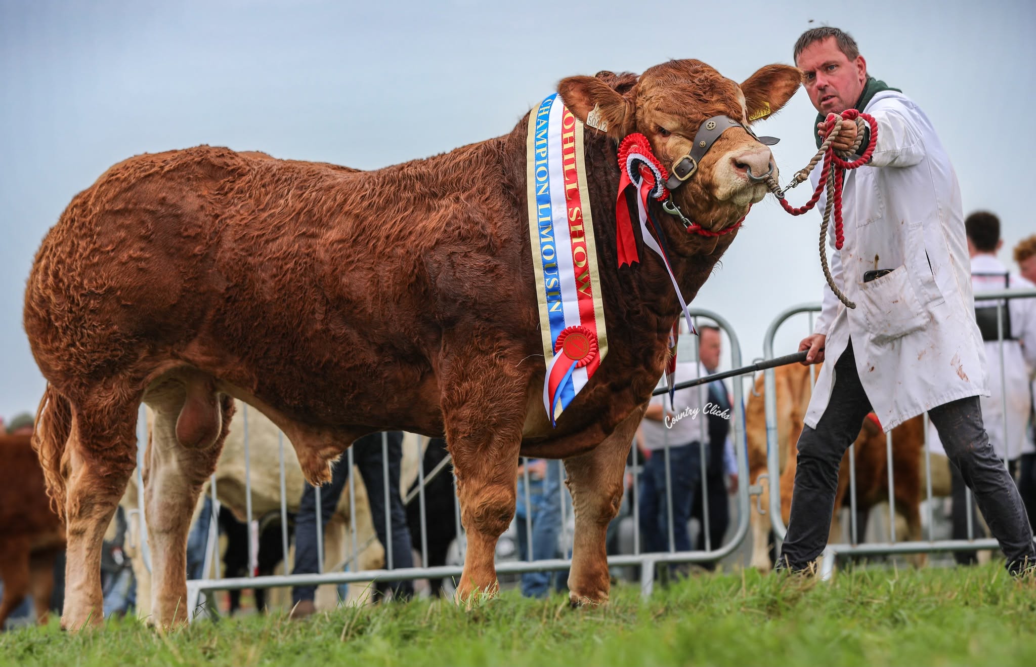 Mohill Show 2026