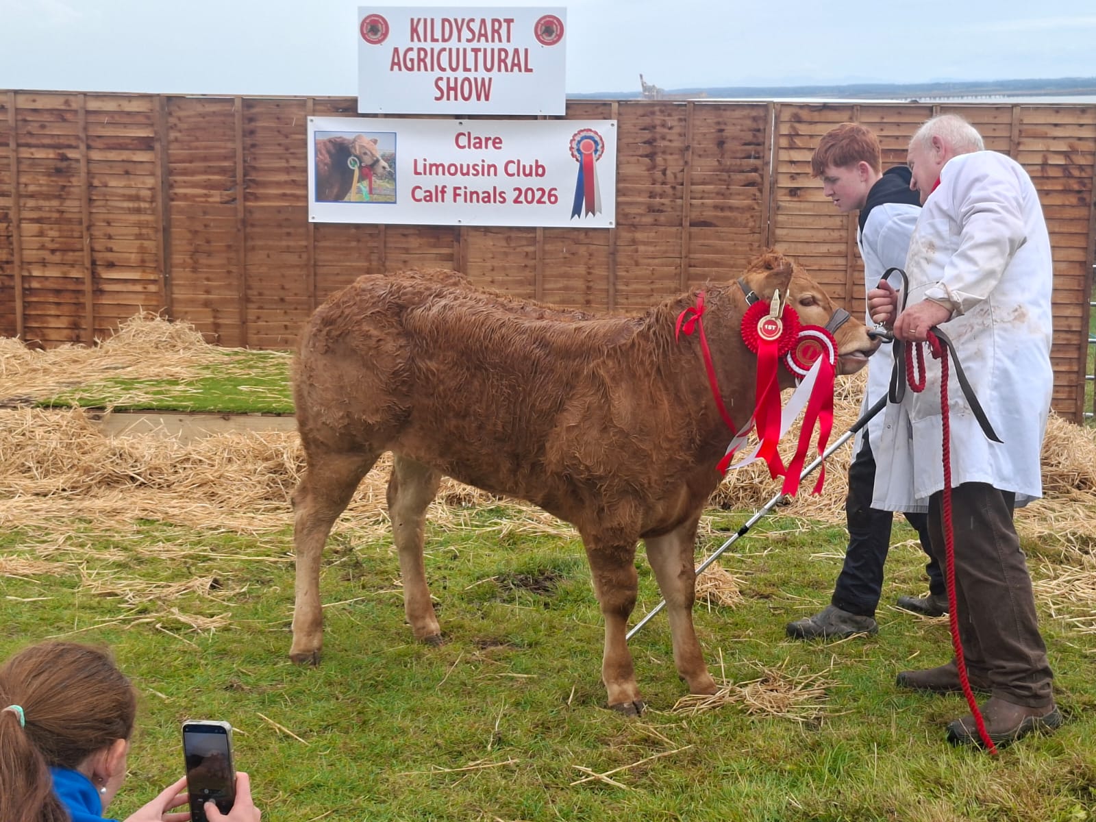 Kildysart Show 2026